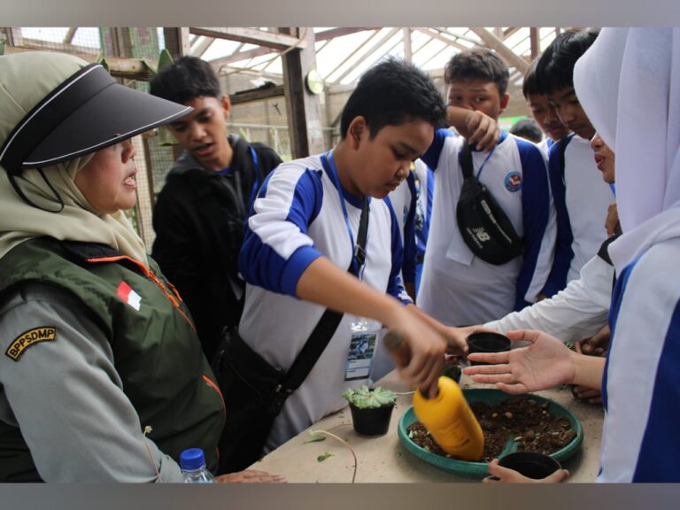 IMG-20241117-WA0006