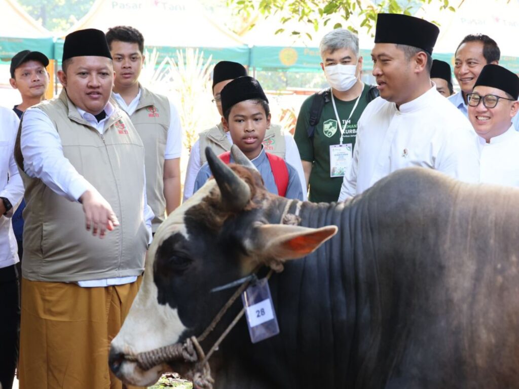 IMG-20260527-WA0011